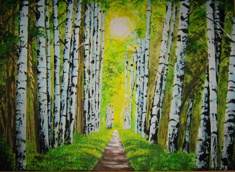 Ein sonnendurfluteter Weg durch einen Birkenwald