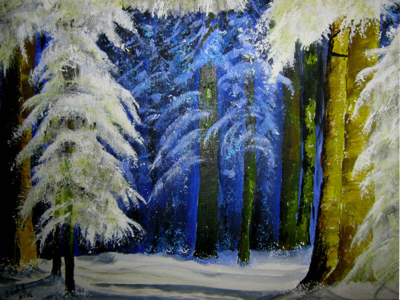 tief verschneiter Winterwald