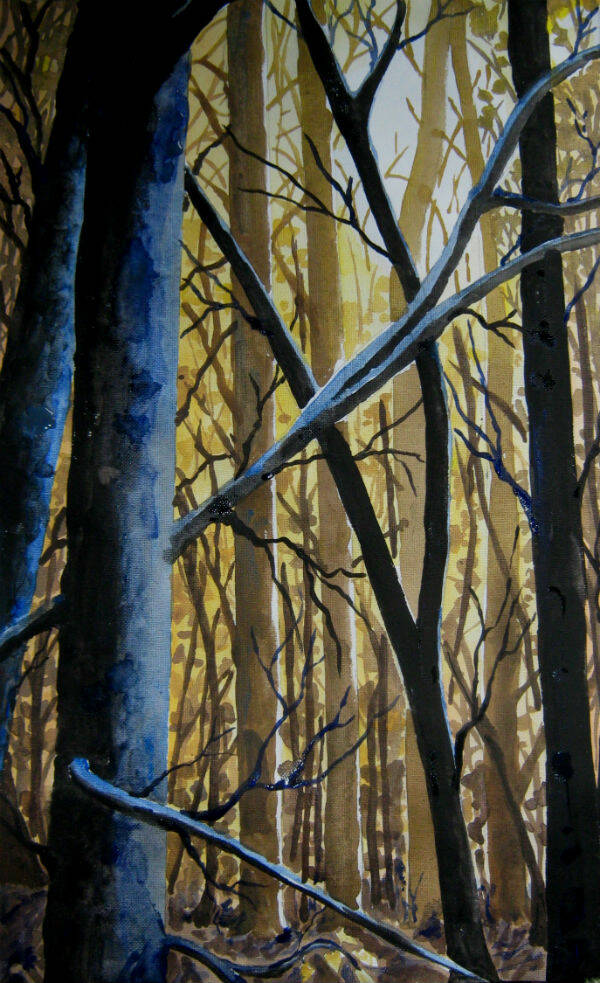 Ein Blick in eine Baumanordnung. rnEin Aquarell