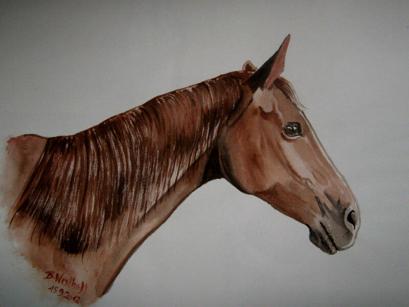 Ein PortrÃ¤t, ein Aquarell von Damiera