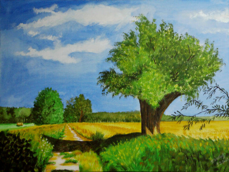 OriginalgrÃ¶ÃŸe 50x70cm